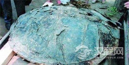 1490509762497936.jpg 2.jpg