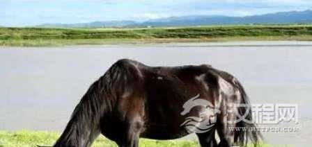 1518924903910260.png blob.png