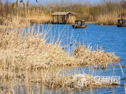 1598926784694004.png image.png