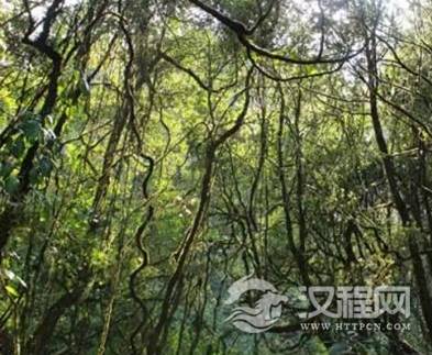 1600213809732083.png image.png