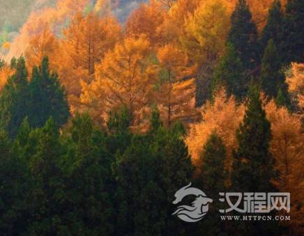 1598574449216869.png image.png