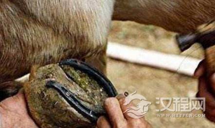 1560052206840929.png image.png