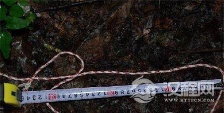 1485160422645257.jpg 9273b73d232143898a75cda7c7bd17cd_th.jpg