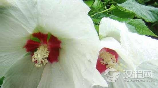 1542691915339659.png image.png