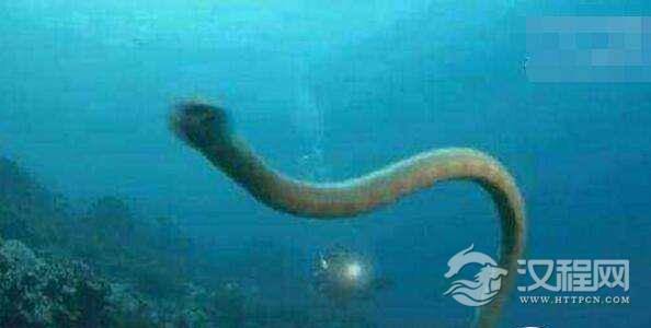 1515657110874004.jpg 2_171018172328_1.jpg