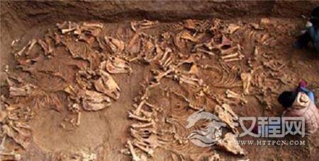 1506565182206912.jpg 320f0000405f6a46ca3d.jpg