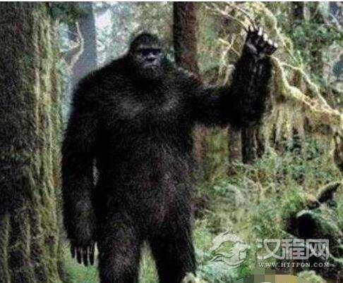 1516066594475288.jpg 2_171019162420_1.jpg