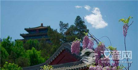 1509933087197893.jpg timg.jpg