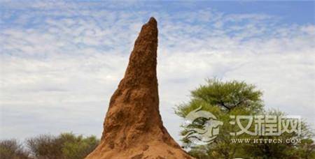 古老的蚁丘 古老的蚁丘