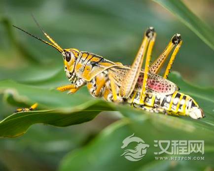 1576647771836688.png image.png