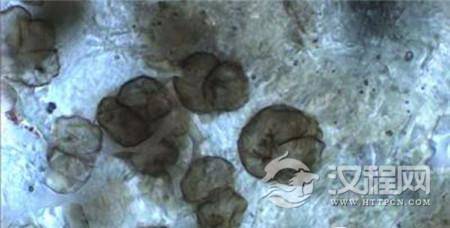 1484793300406122.jpg 5952242973329175540.jpg