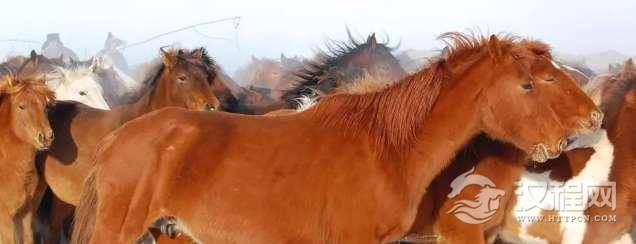 1532501427267785.png image.png