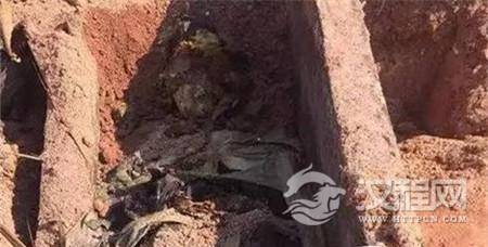 1508227664139852.jpg 3a090002b49e63bbf8fa.jpg