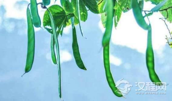 1544670950748773.png image.png