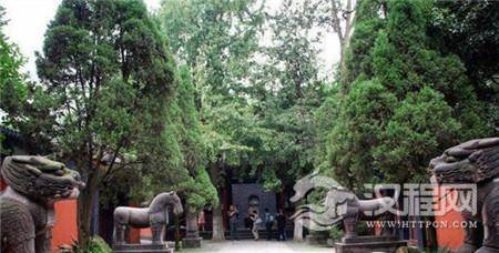 1498706678111071.jpg 243100058f893ee7f535.jpg@100q.jpg