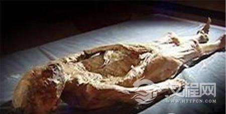 1489302844118960.jpg 144445826493317100.jpg