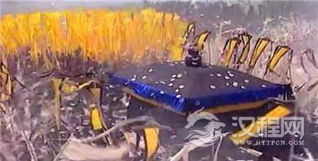 1485825957369981.jpg 15a00002612af094ebaa.jpg