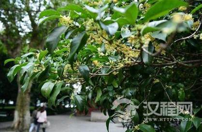 1600745464991650.png image.png