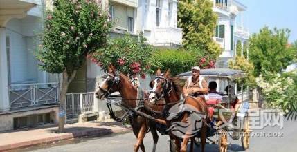 1596176993326546.png image.png