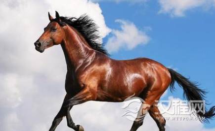 1609557798616853.png image.png