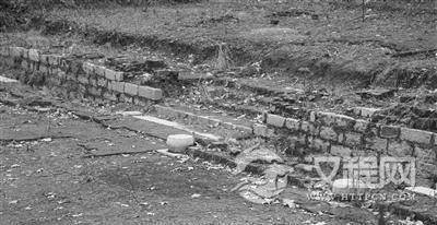 1477099672730781.jpg 201638105814742.jpg