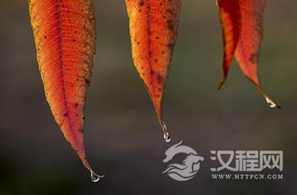 1600745478254451.png image.png