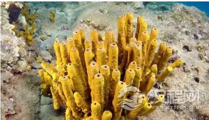 1596176648250104.png image.png