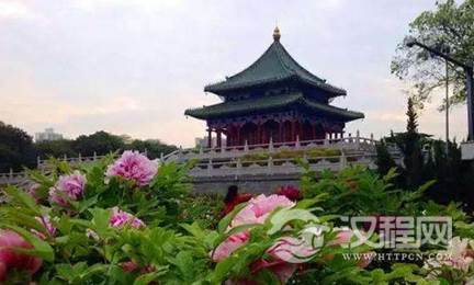 1603161307640631.png image.png