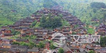 1457421543738036.jpg 4.jpg