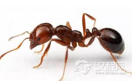 1617334998574423.png image.png