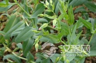 1581336509273050.png image.png