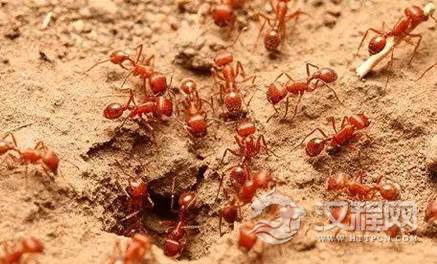 1617335020721441.png image.png