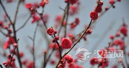 1464855887933851.jpg fd88fcd7187849b4a08bb41075b00fc1.jpg