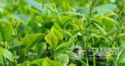 1609480821300699.png image.png