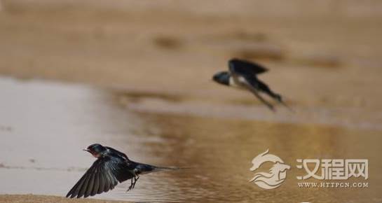 1451961143218288.png QQ截图20160105103211.png