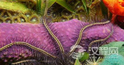 1596176641968827.png image.png