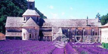 1462532518184129.jpeg 3.jpeg