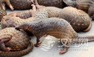 1581336516721297.png image.png