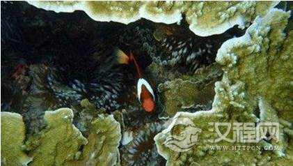 1593999948423392.png image.png