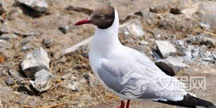 1594019552920987.png image.png