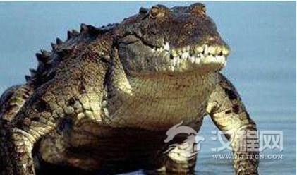 1594791966751358.png image.png