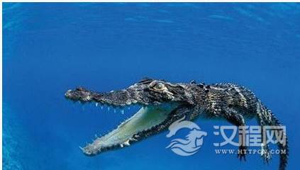 1594791954456674.png image.png