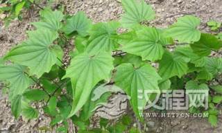 1581336513537378.png image.png