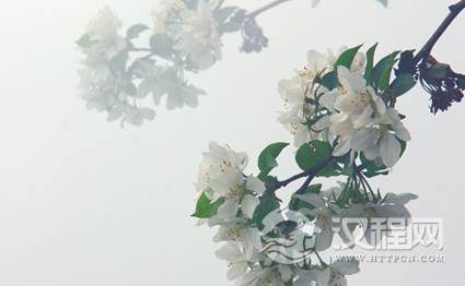 1602487550815845.png image.png