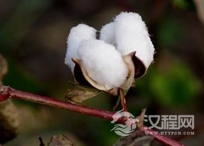 1592284053306871.png image.png