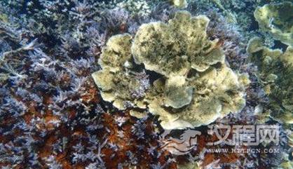 1593999956436651.png image.png