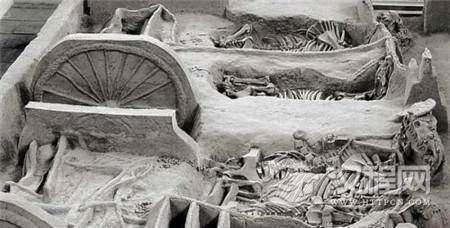 1497171652155414.jpg 20170526143917288.jpg