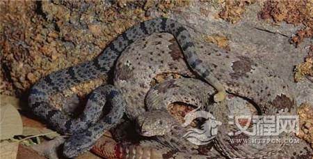 1494291671317214.jpg 3_副本2.jpg