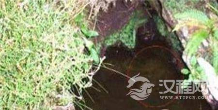 1486193236352991.jpg 3_副本2.jpg