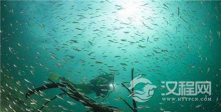 1490597341773675.jpg 1_副本1.jpg